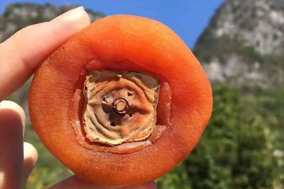 广西恭城月柿,桂林月柿