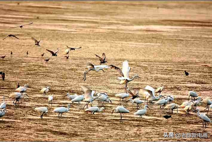 河北省沧州市海兴县农村规划,河北沧州海兴县简介