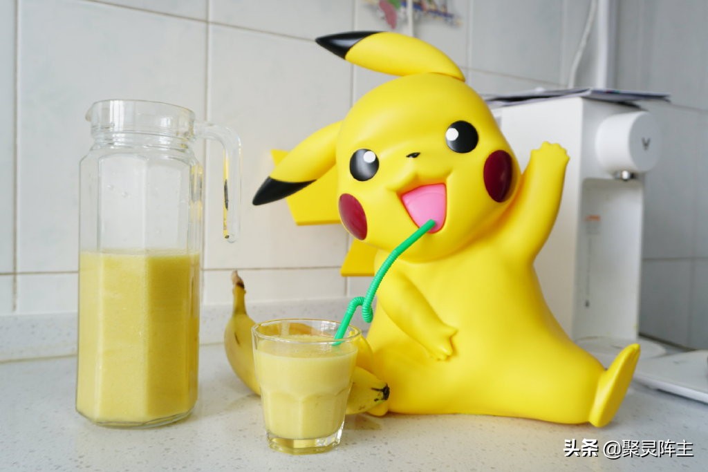 博世破壁机都有哪些功能,博世破壁机对比wmf破壁机