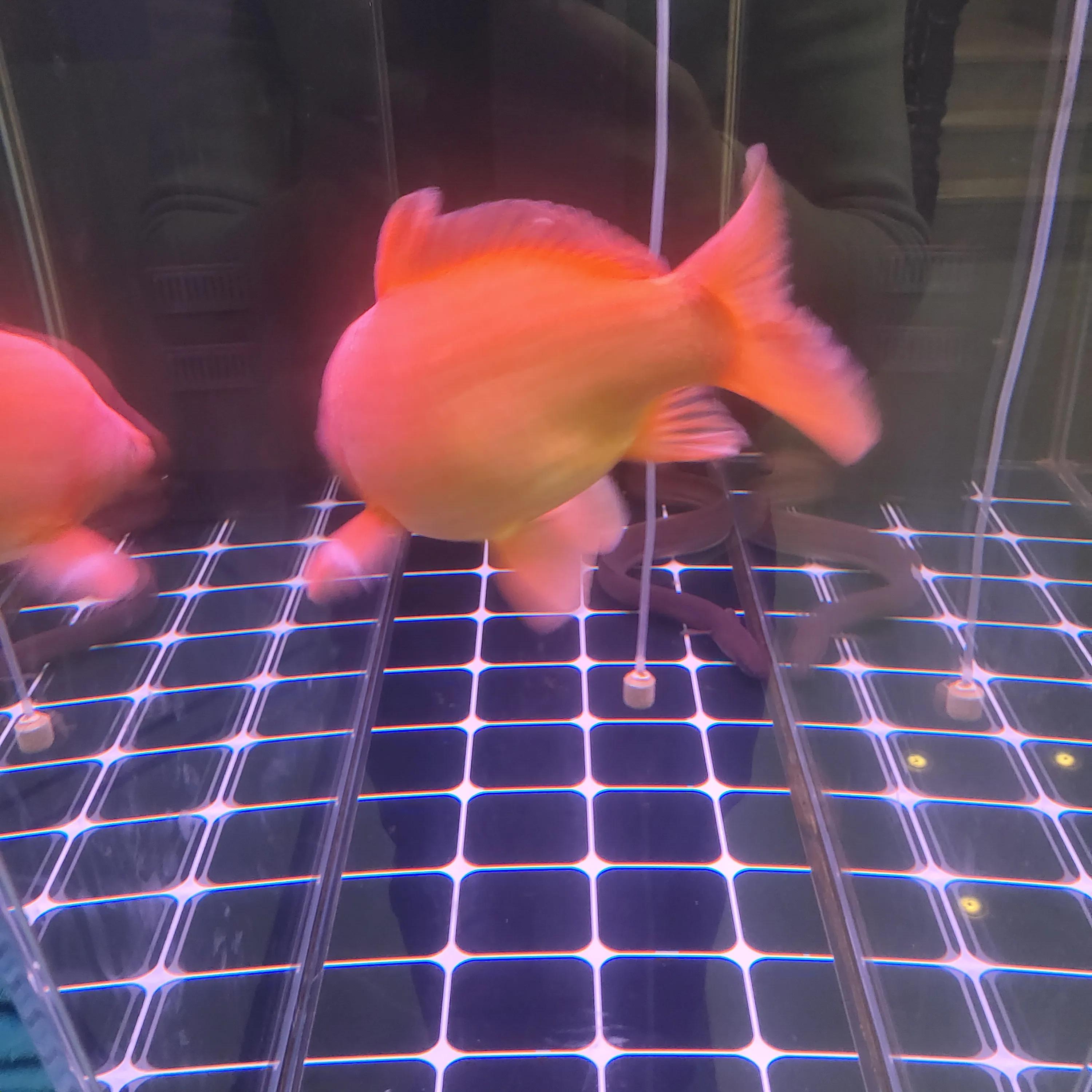 一个人在城市努力拼搏奋斗的说说,一个朋友的故事简短