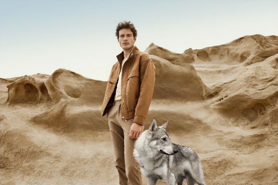 七匹狼秋季高端搭配,七匹狼早秋新款外套