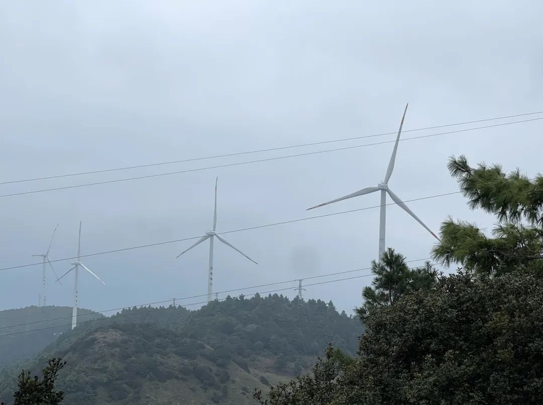 迈开脚步看风景别辜负昆明好风光,带你看云南昆明美景