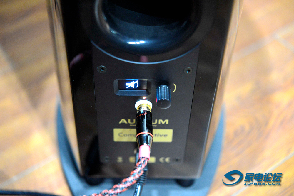 另类点音源发烧友的福音:德国AUDIUMComp5.2有源音箱