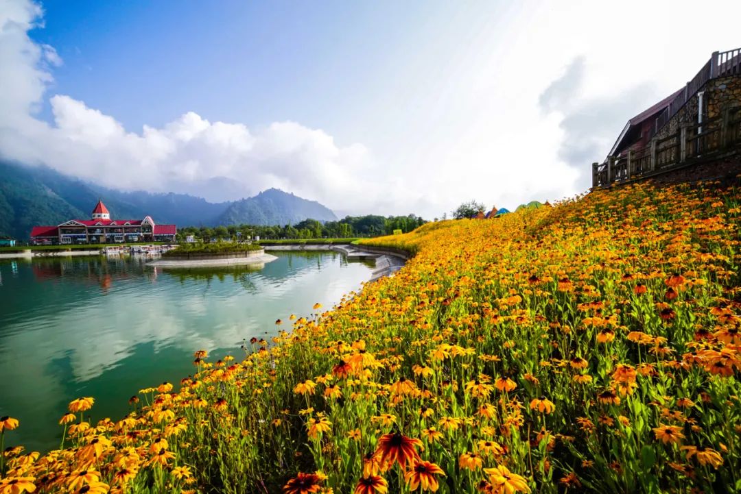 值得带娃去玩的景区推荐,无锡免费景区有哪些地方好玩