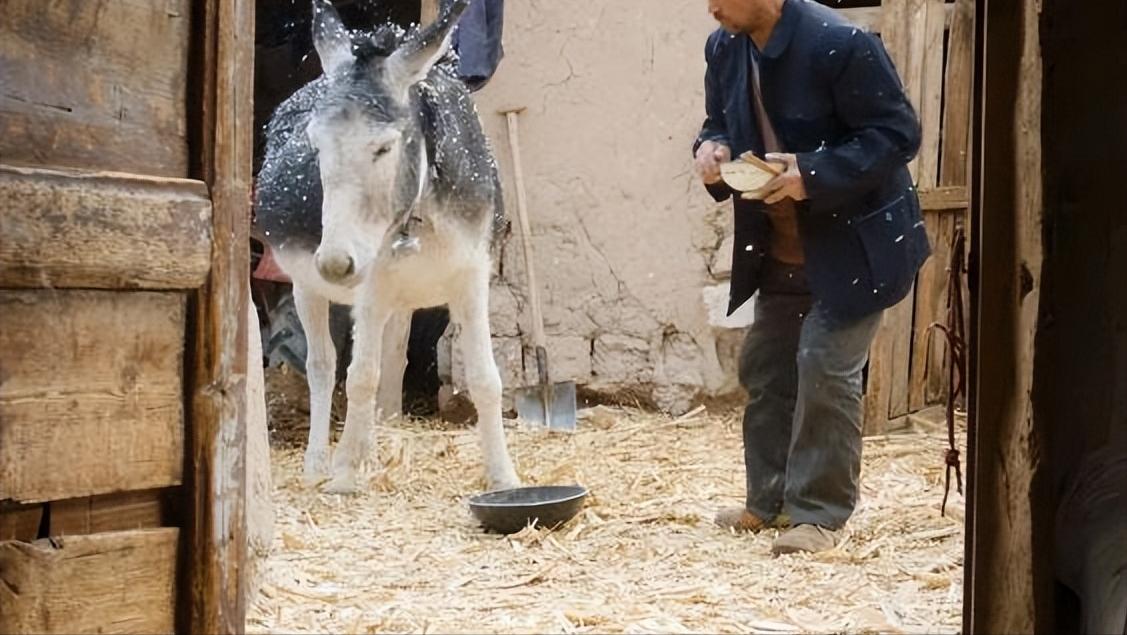 土地《失语者》边缘人物《隐入尘烟》
