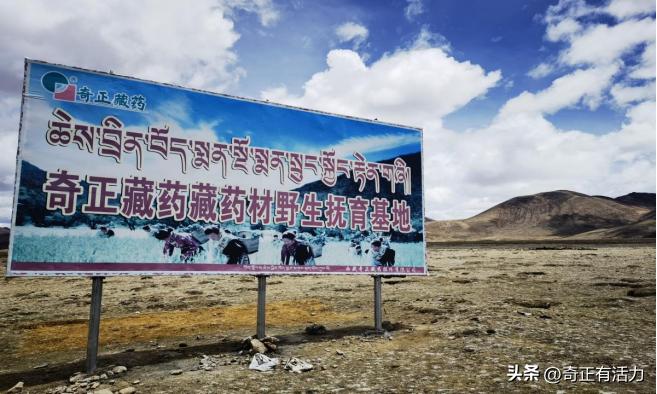 送你一朵大红花,给你一朵大红花音乐