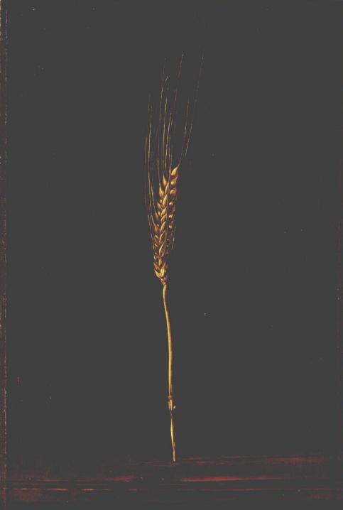 最便宜的香奈儿单品,香奈儿最值得入手的单品是