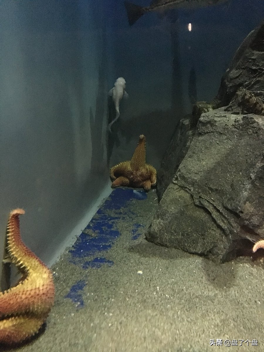 每日一笑段子集,每日一笑段子