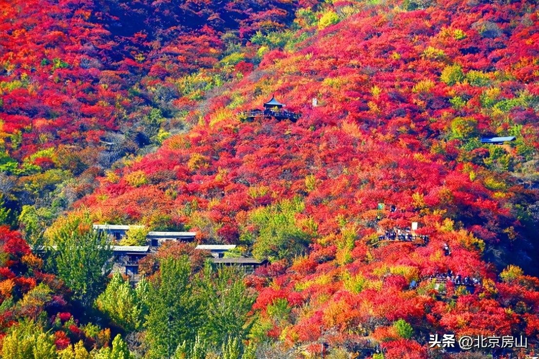绘就美丽中国新画卷,绘就和谐宜居新画卷