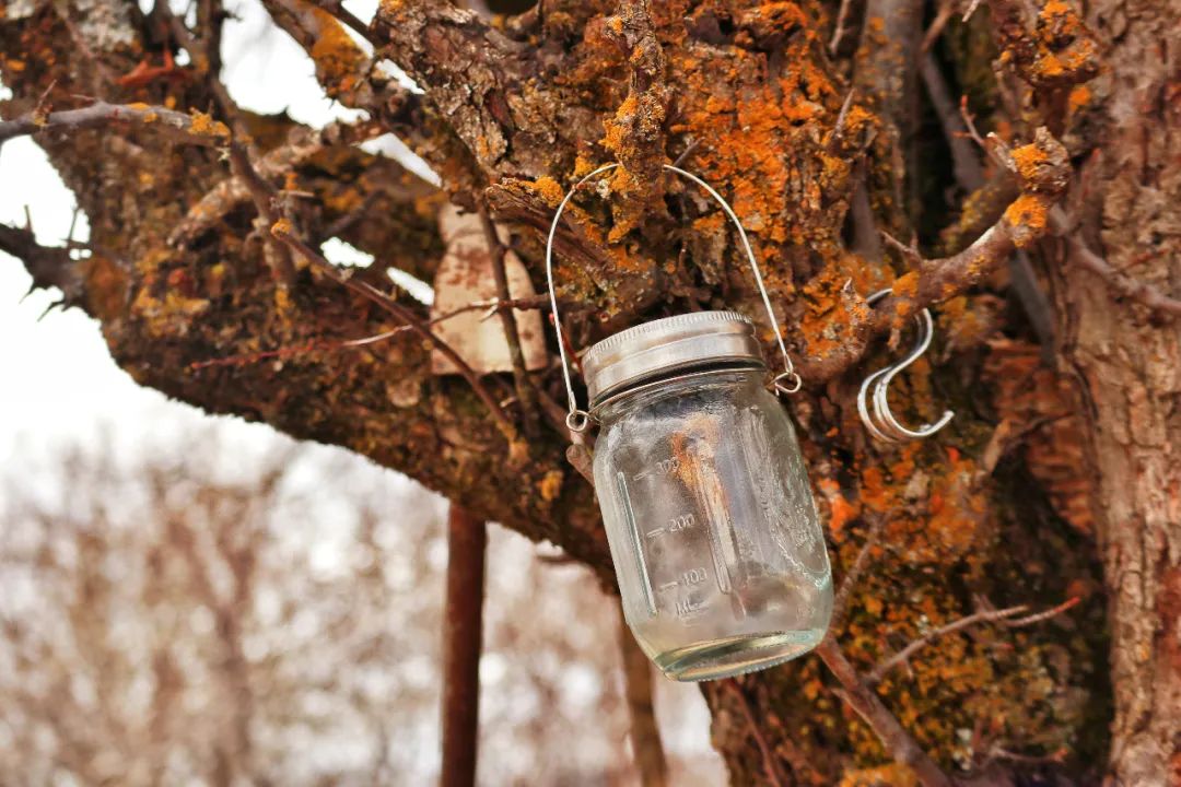 香格里拉野奢民宿,香格里拉野奢度假民宿