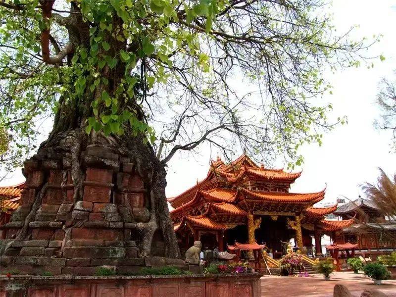 鏅幢涓栫晫鑼舵簮,澶╄祼鏅幢涓栫晫鑼舵簮