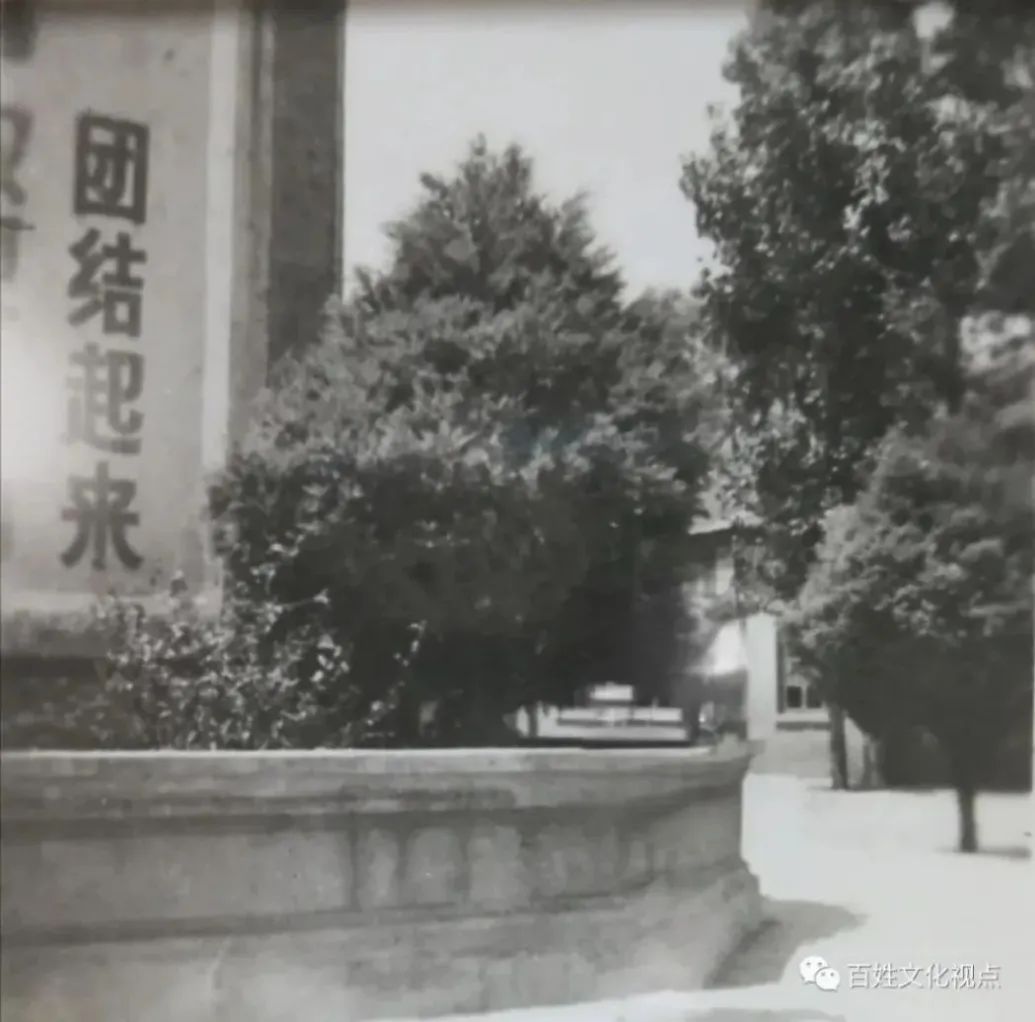 谢先莹、马士龙：大学门口为什么大都放块巨石