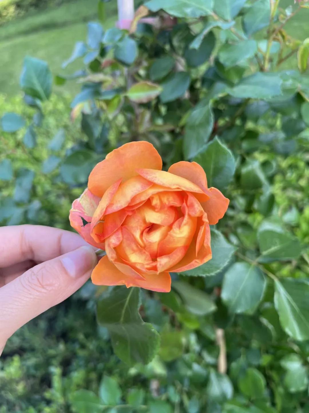 怎样在交往中不卑微,与人交往不卑微