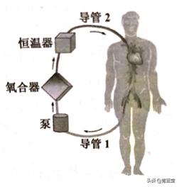 2021年江苏省苏州市初中生物结业考试