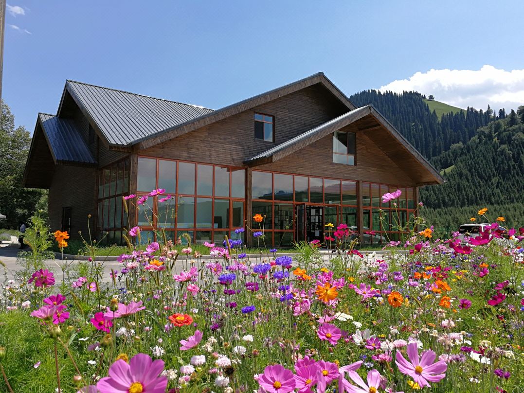伊犁那拉提草原玩的有啥,伊犁那拉提草原是几级旅游景点