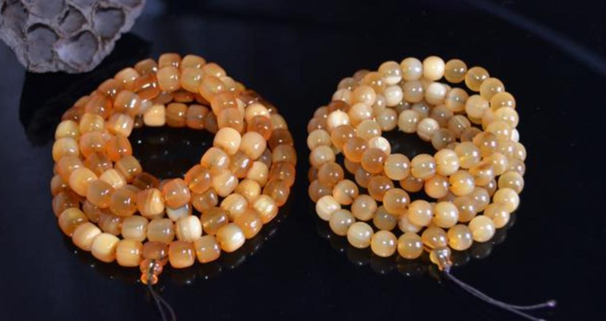 全球不足百头的动物,全球数量不到100只的动物