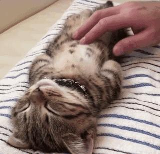 腰椎间盘突出可以半躺半坐,腰椎间盘突出躺几天就好了