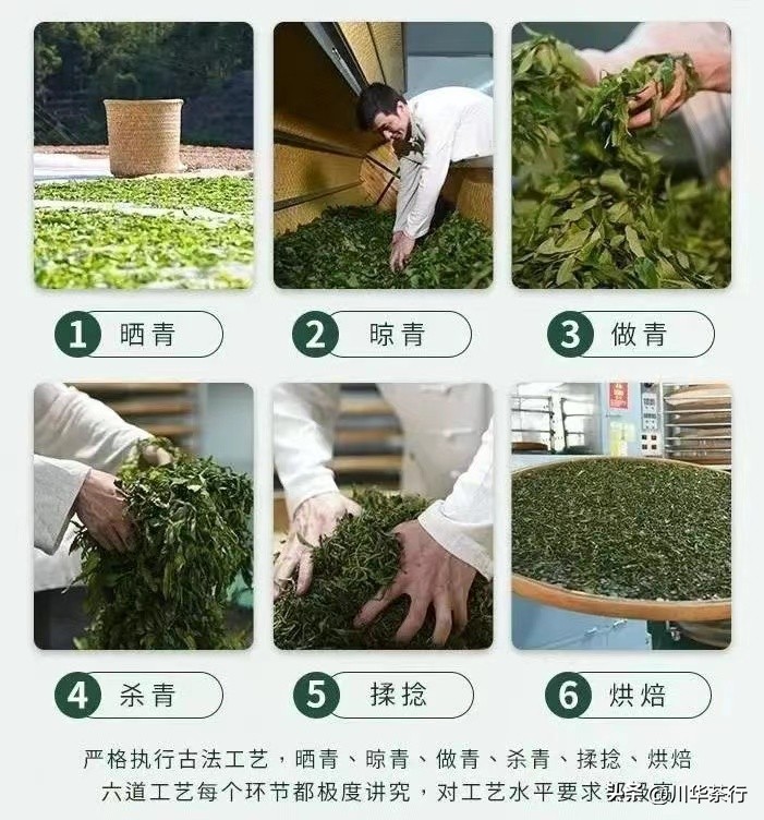 潮州凤凰单丛是红茶吗,潮州凤凰单丛茶是绿茶吗