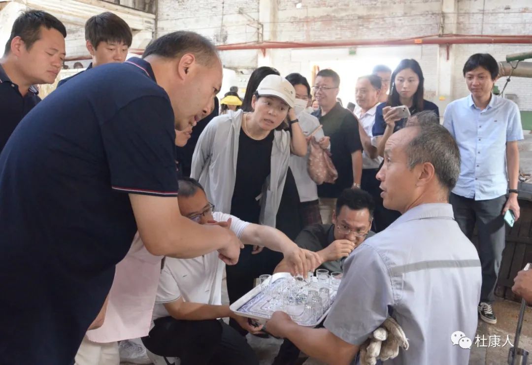 杜康参观,杜康酒厂参观