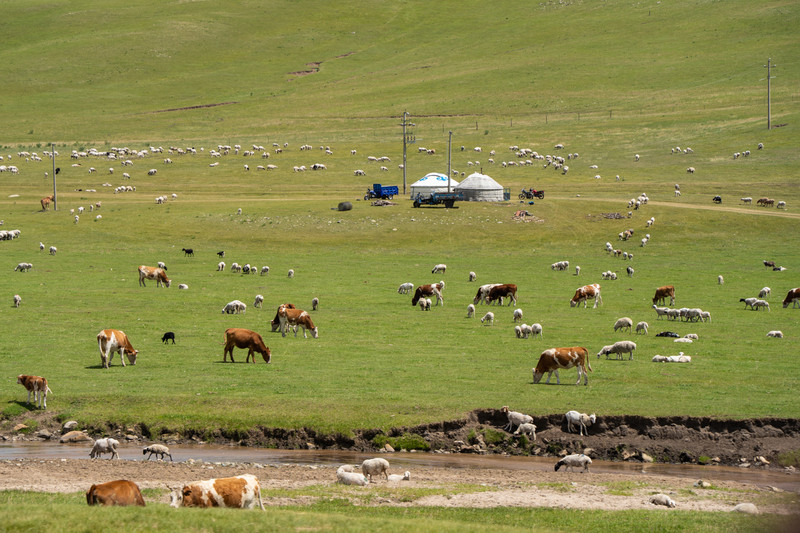 赤峰周边最美的公路,赤峰中国草原自驾游旅游胜地