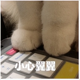 和女性聊隐私10个话题,女生防性侵谈心谈话