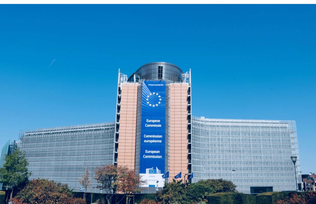 碳关税对行业影响如何？看专家怎么说