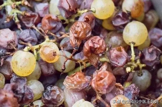 女子宫颈糜烂要不要紧,女子被医院切掉子宫