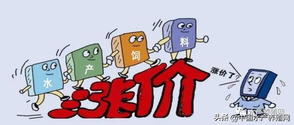 豆粕暴跌700元饲料价格会降吗,豆粕历史价格最高点