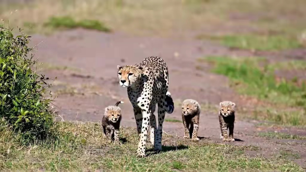 2019年合肥各高中高一分班情况,合肥高中分班怎么分按什么标准