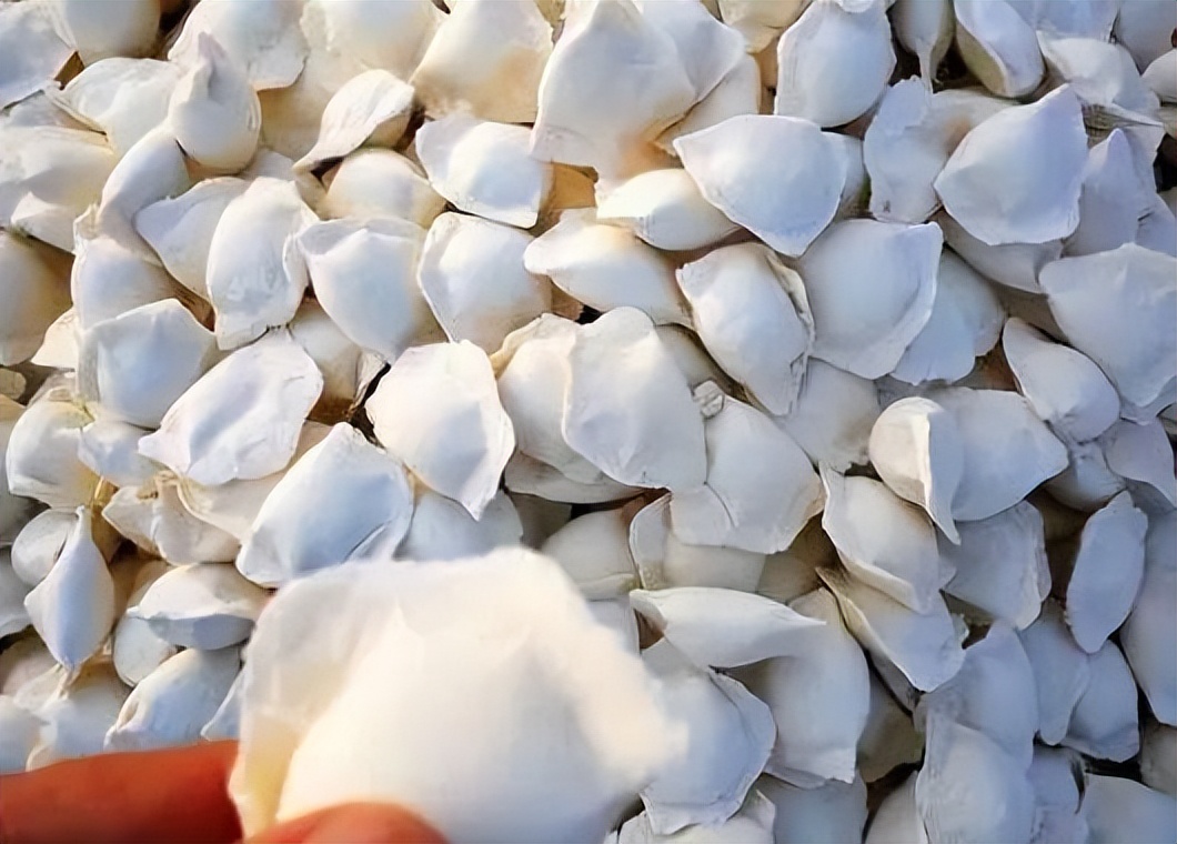 冻饺子放一会再下锅吗,冻饺子忘了放冰箱粘在一起怎么煮