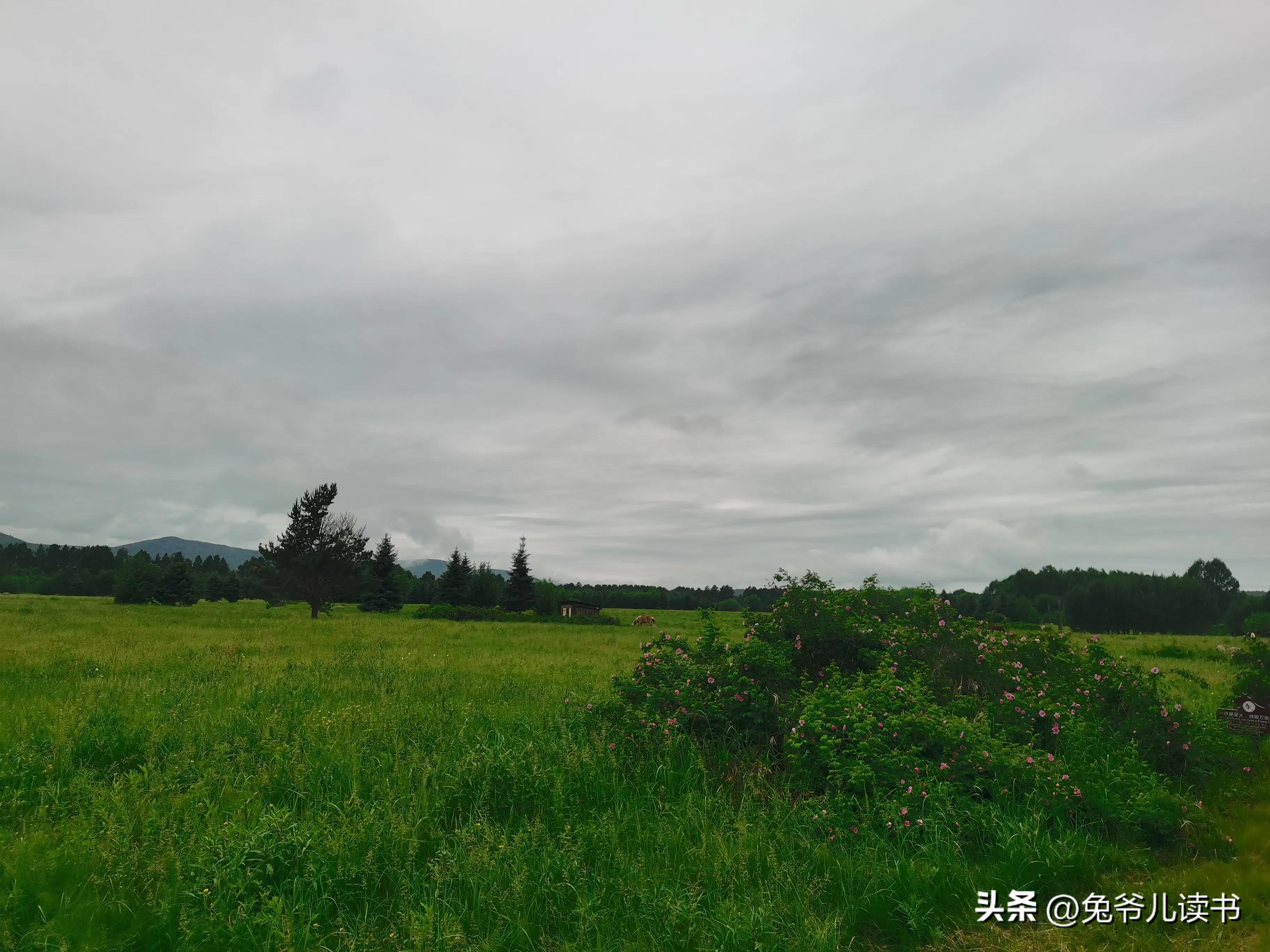 北极村圆梦之旅,北极村旅行有感