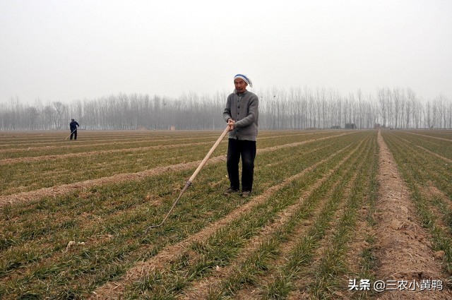 今天十一月初一,俗语“穷人莫着急,只看冬月三个一”,啥意思?