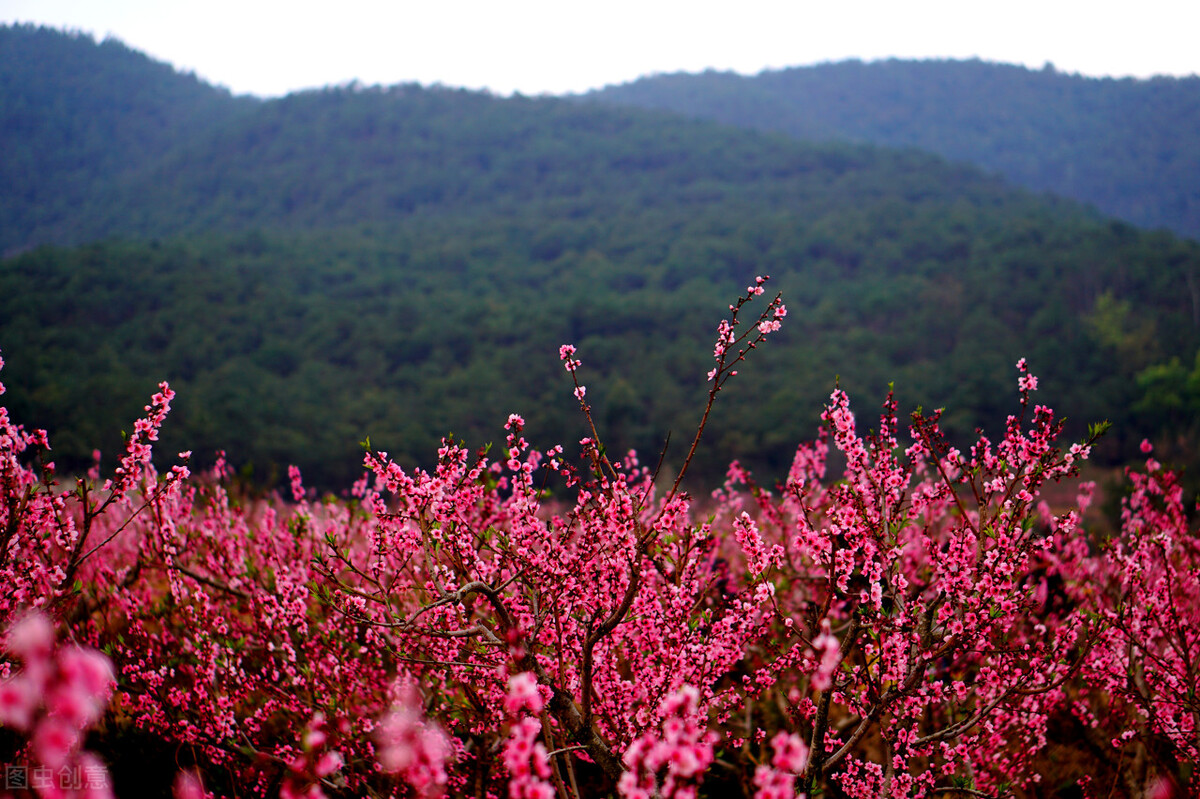 弥渡旅游景点有哪些好玩的,弥渡旅游攻略必去景点有哪些