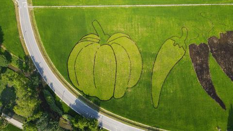 天府农博游玩心情,天府农业博览园一日游