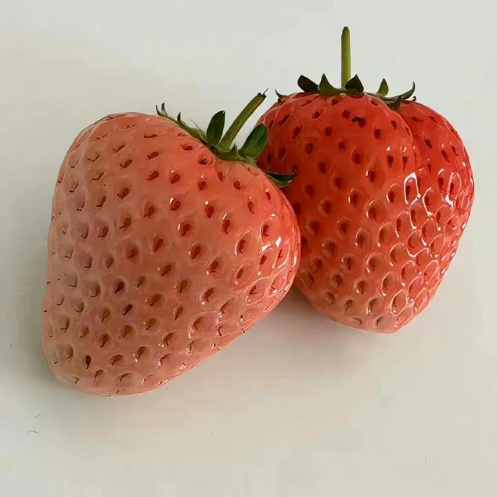 简约朋友圈背景图片大全,简约朋友圈背景图汽车