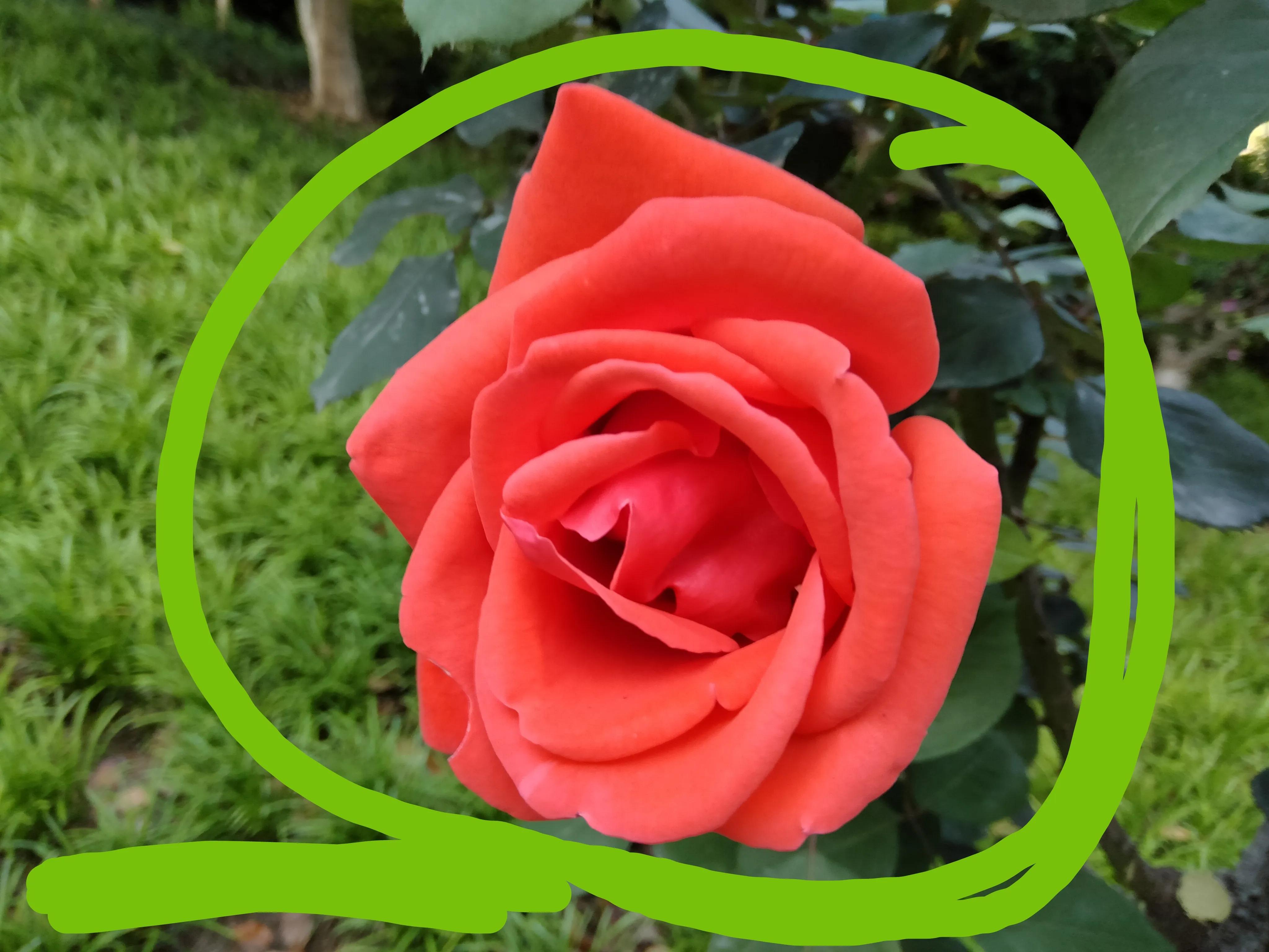 微信高效写作方法,微信平台文字写作技巧