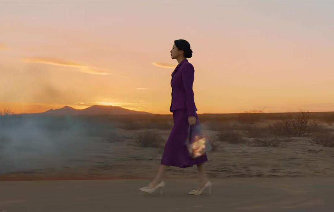 真假安娜身份被揭穿,真假安娜韩剧哪里看