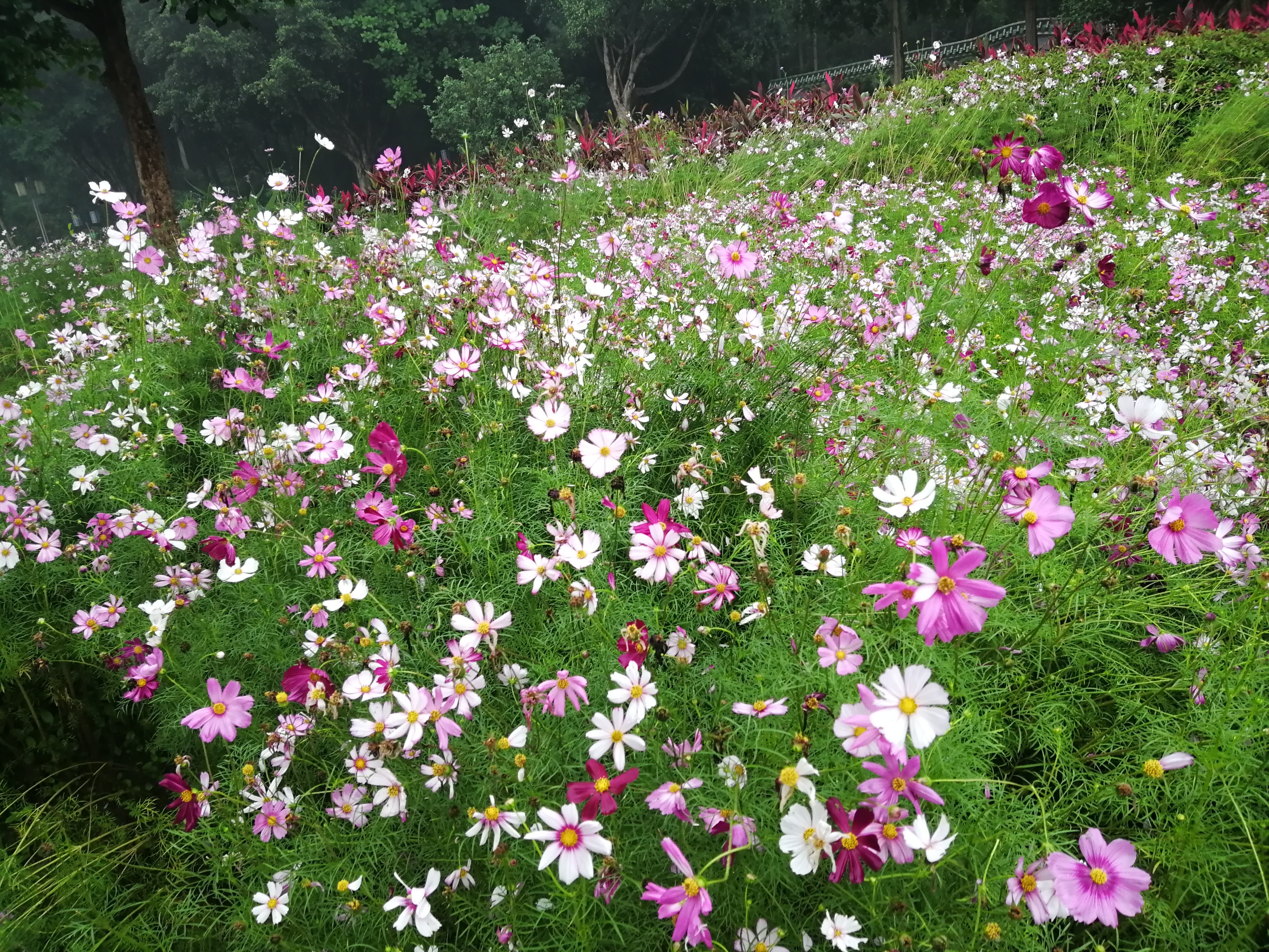 打卡广州地铁7号线,打卡广州最美7公里