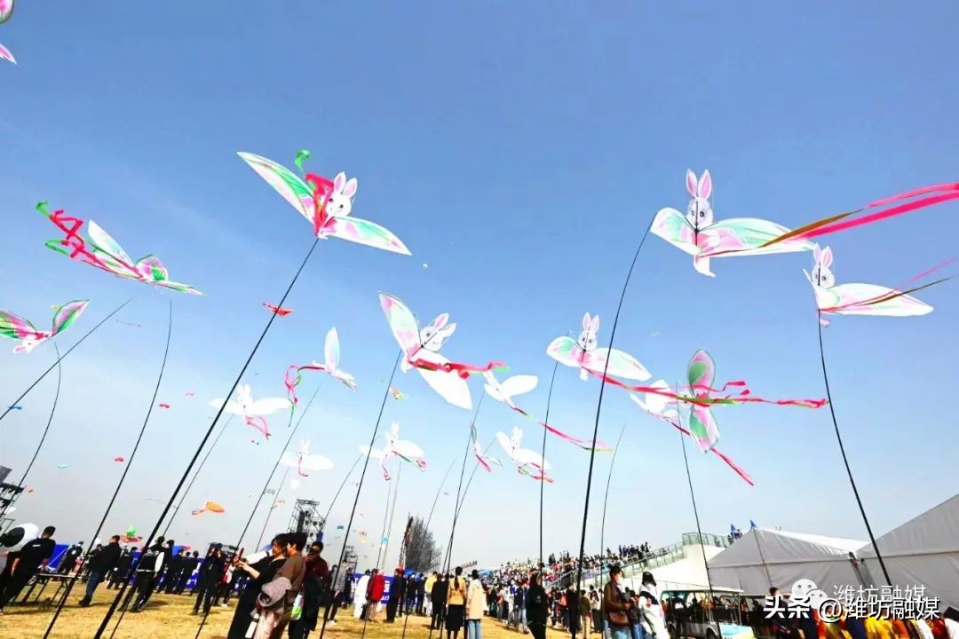 开幕照片视频,最新开幕式片段