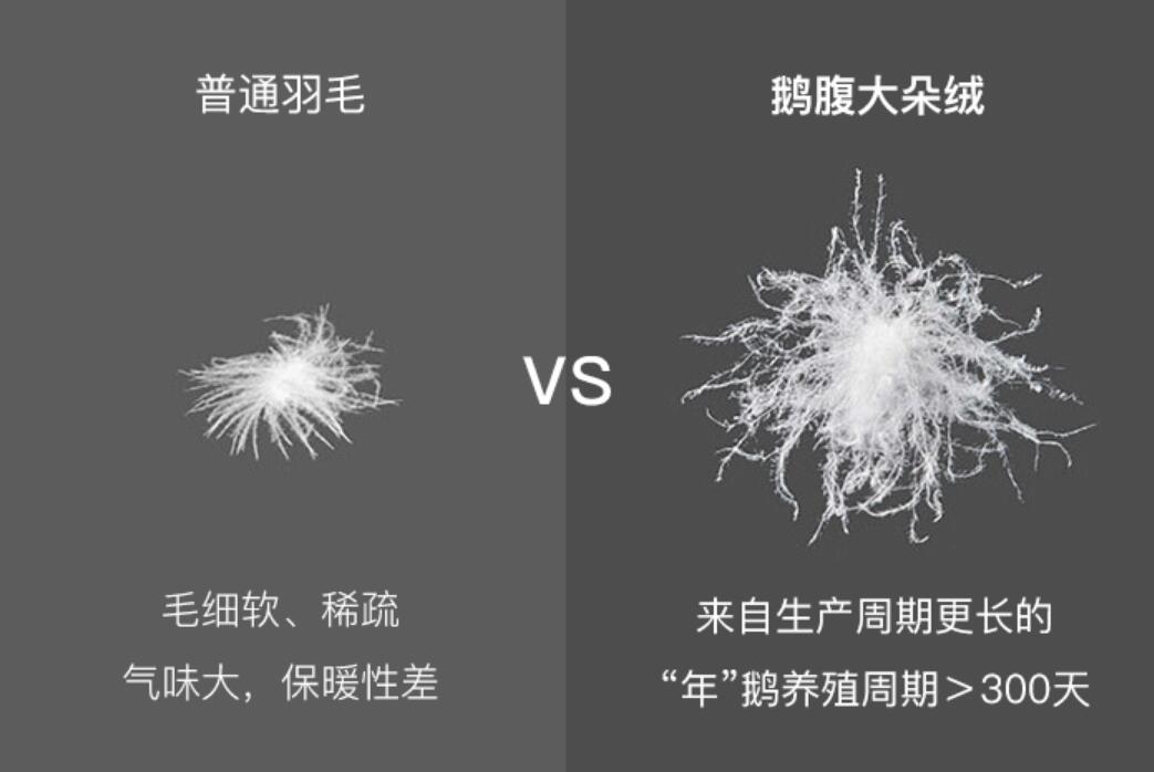 羽绒被哪款保暖最好,羽绒被鹅绒被哪个保暖好