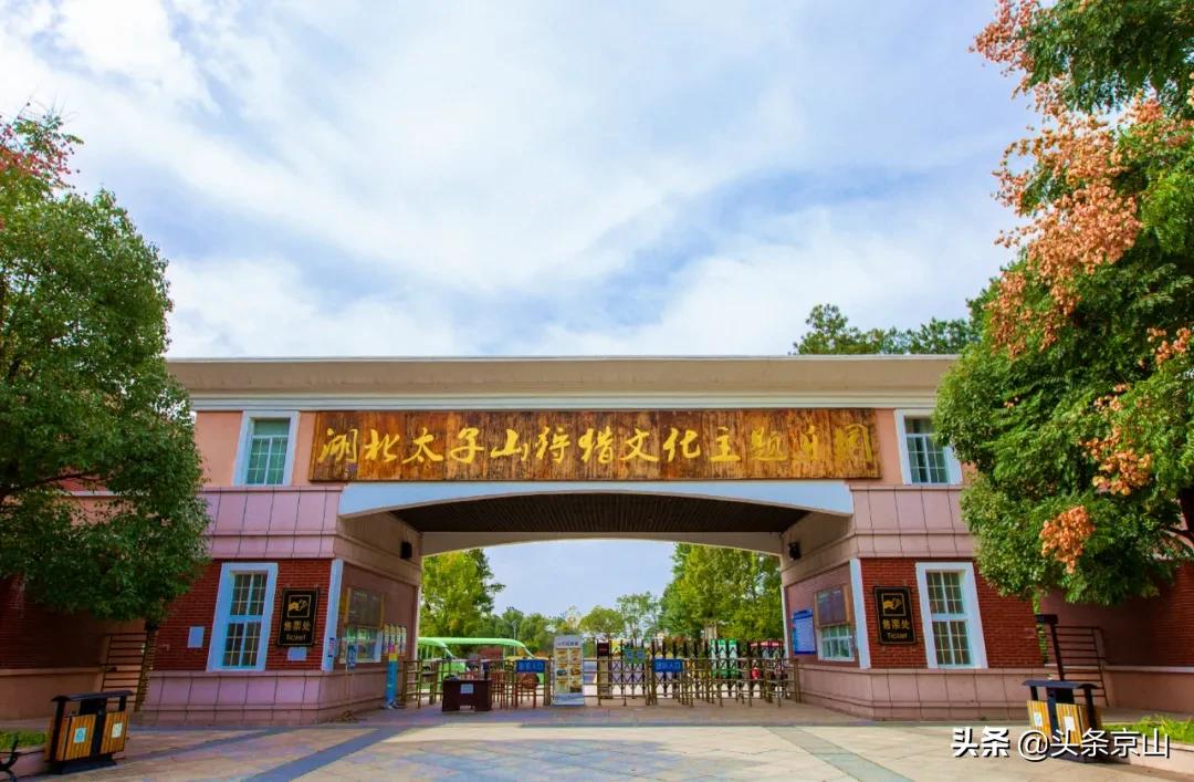 游玩京山,春节期间两日游赏雪泡温泉