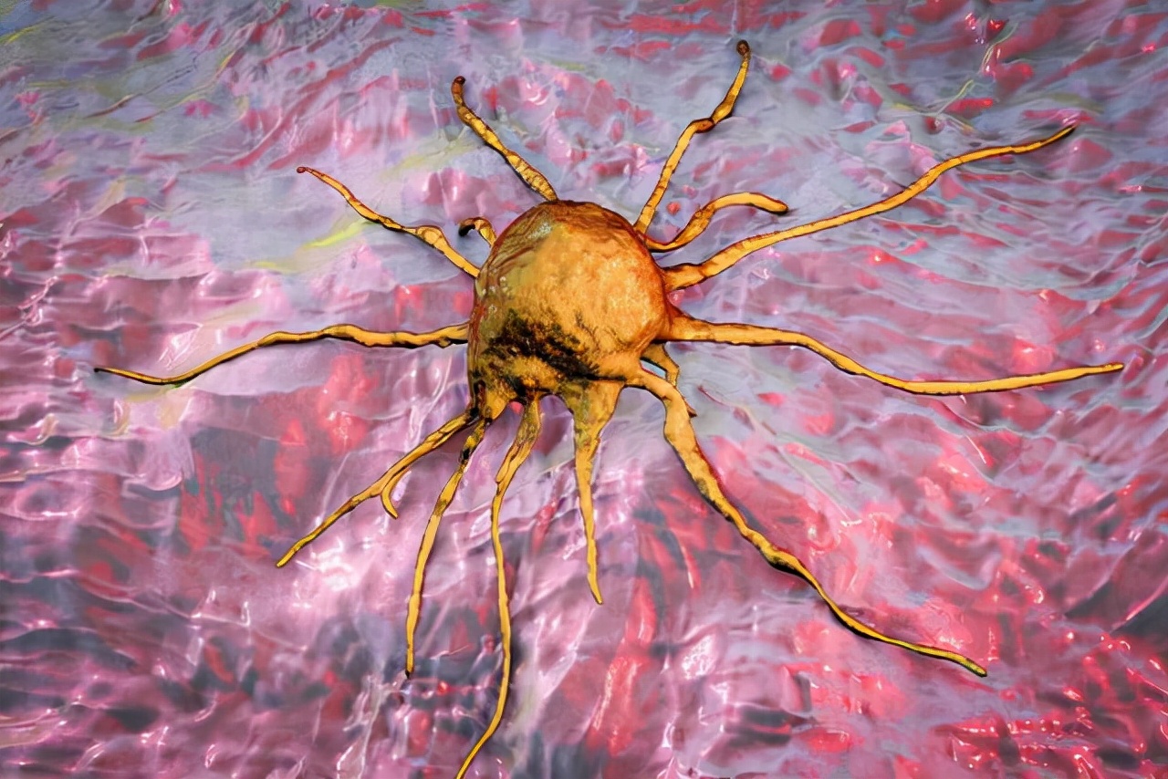 癌症惧怕的五种蔬菜记得常吃,癌症病人要吃碱性还是酸性食物