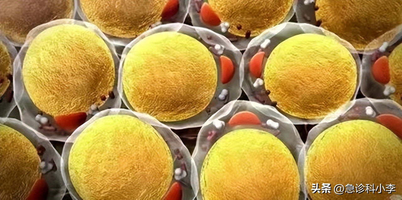 为什么有的人动不动就出汗,为什么人动不动就流汗