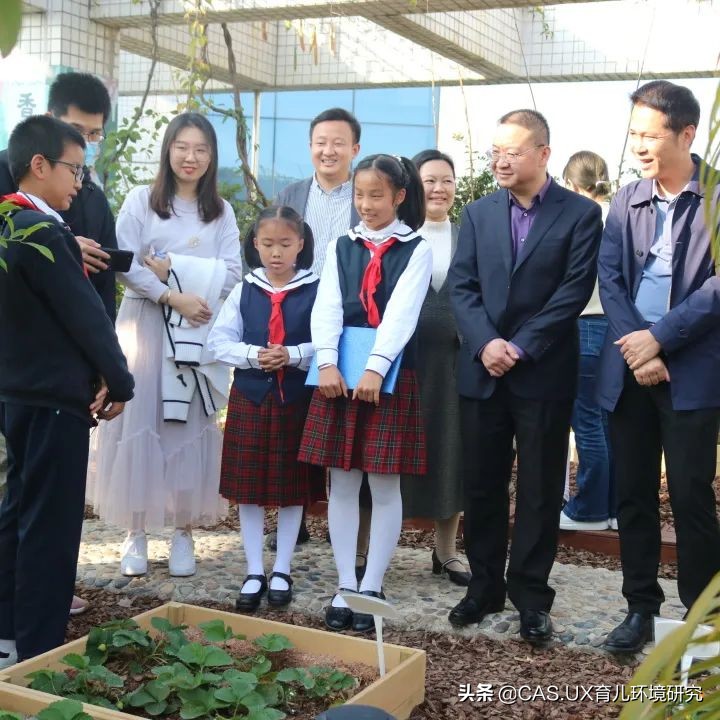 CAS儿童空间|生命花园:在校园屋顶打造感知自然的实验场