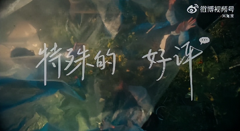 【案例挖掘机】淘宝将感谢说给卖家，芬必得守护孩子的梦想