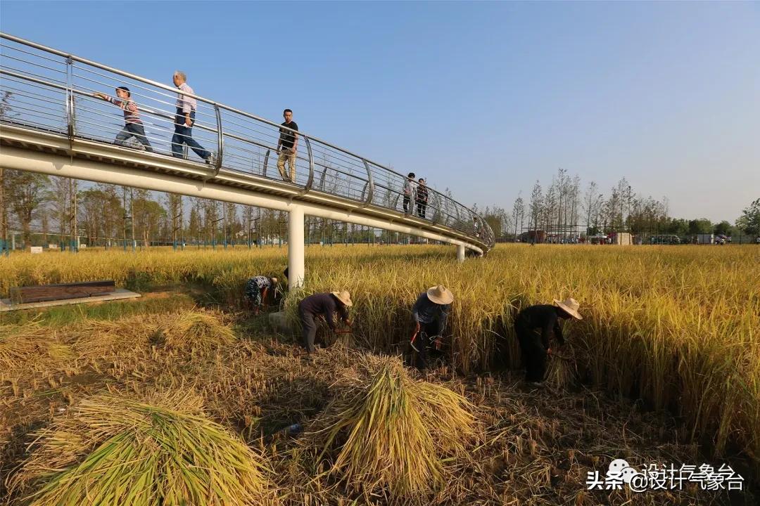 俞孔坚的设计作品,俞孔坚景观设计学