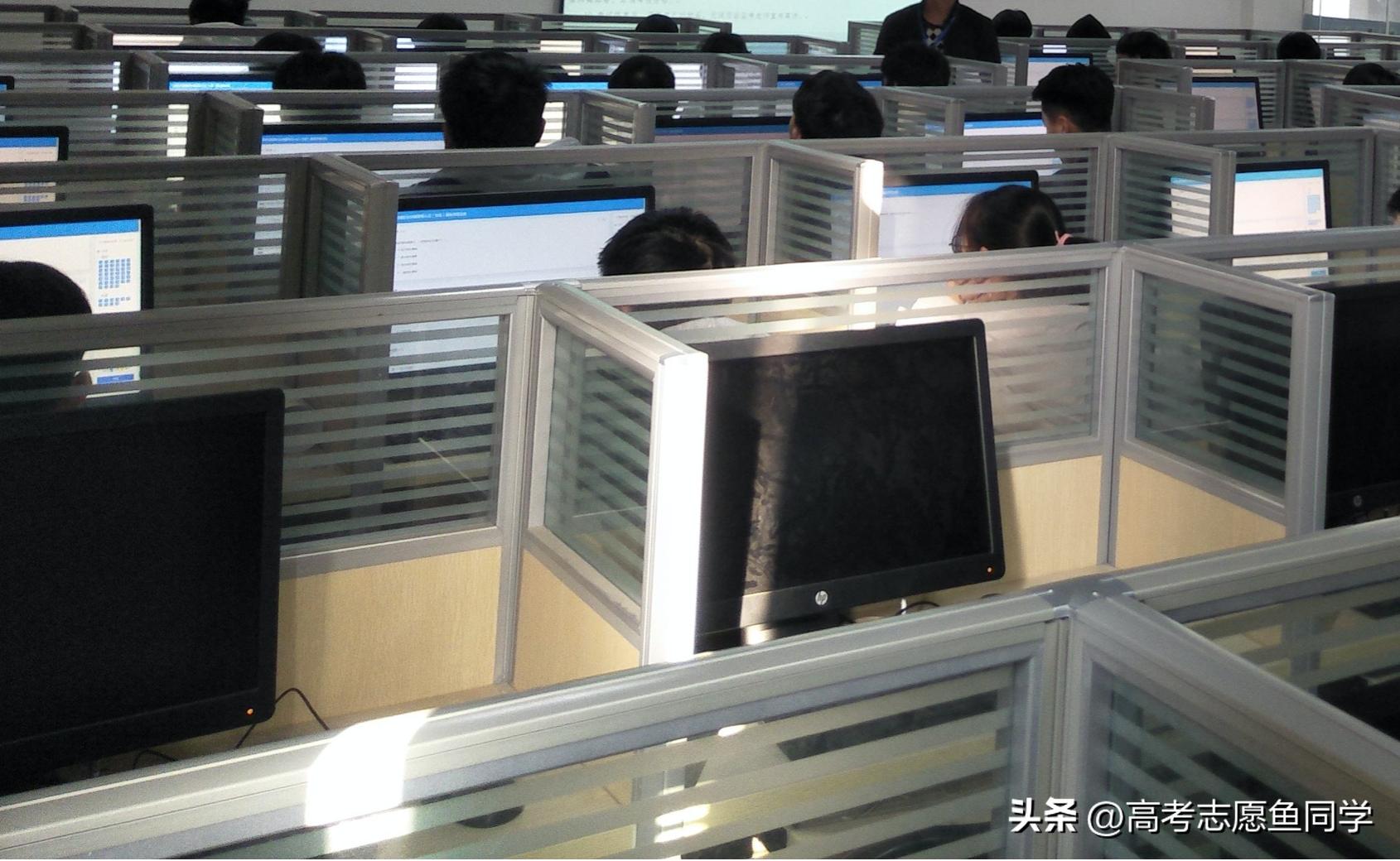 女孩专科就业率高的5个好专业,专科专业就业率排行榜