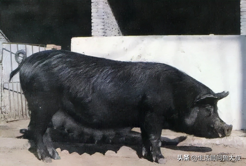 北京市的世界文化遗产有哪些,首批农业文化遗产