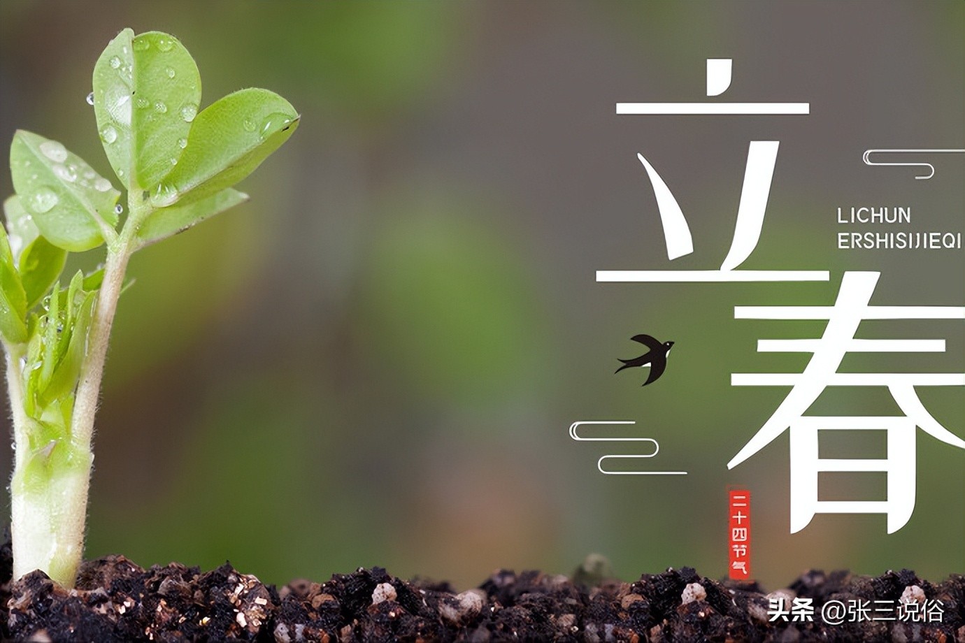 今年是黑兔年哪些生肖需要躲春,2023年兔年躲春前后三天是哪三天