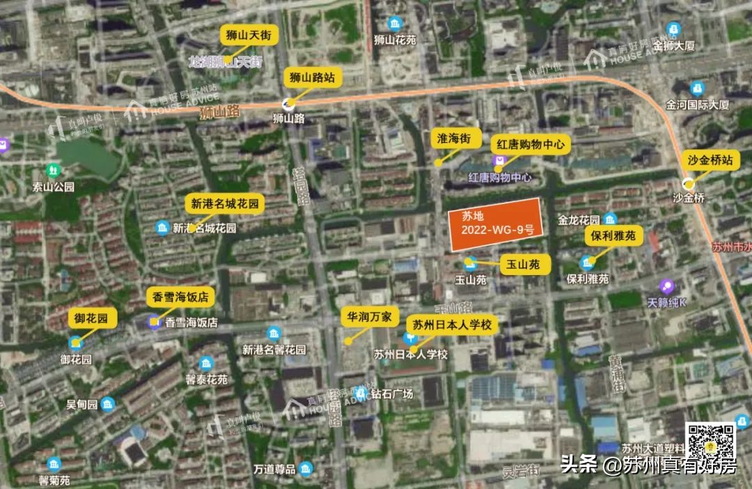 开局四大神兽,四大神盘新房